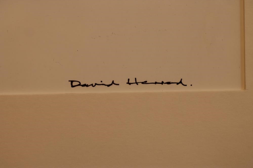 ‡DAVID HERROD (Contemporary) Image