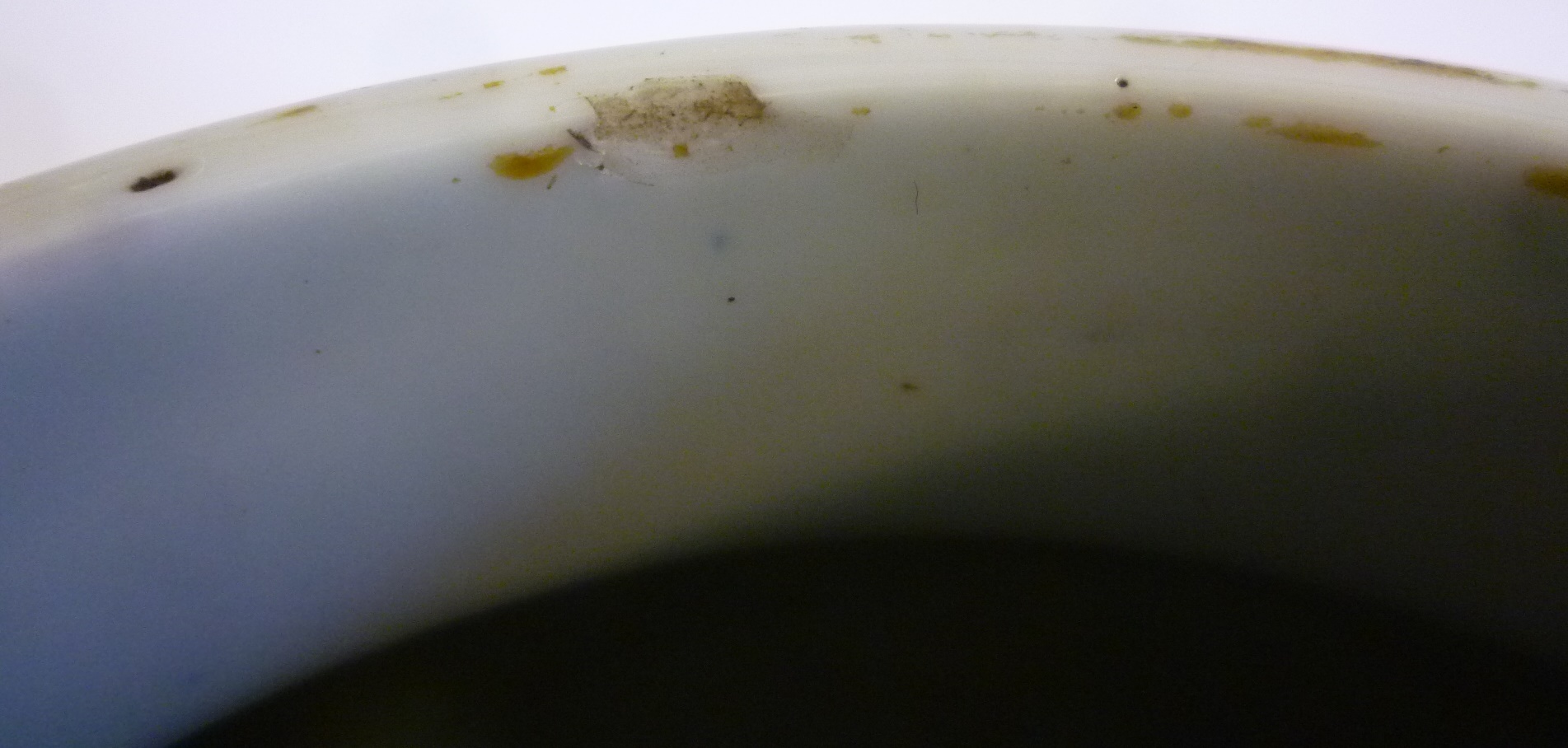 JOHANN JAKOB WOLFENBERGER (1797-1850) Image