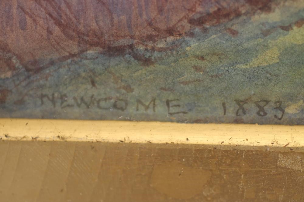 FREDERICK CHARLES NEWCOME (1847-1894) Image