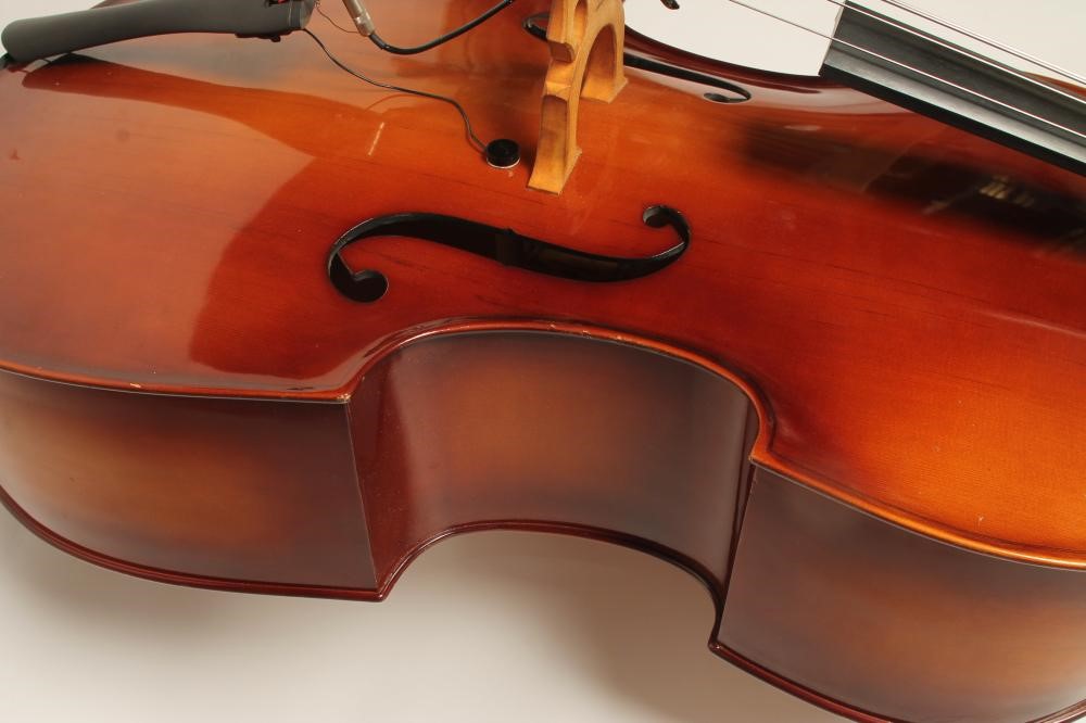 A ROMANIAN DOUBLE BASS Image