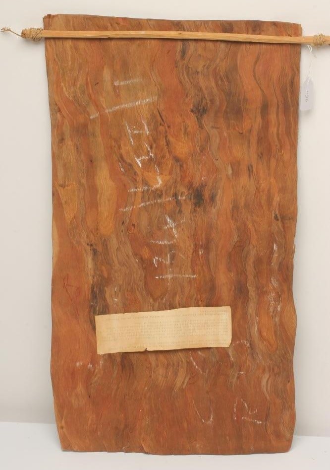 AN ABORIGINAL BARK PICTURE using natural pigments depicting creatures of Dreamtime Image