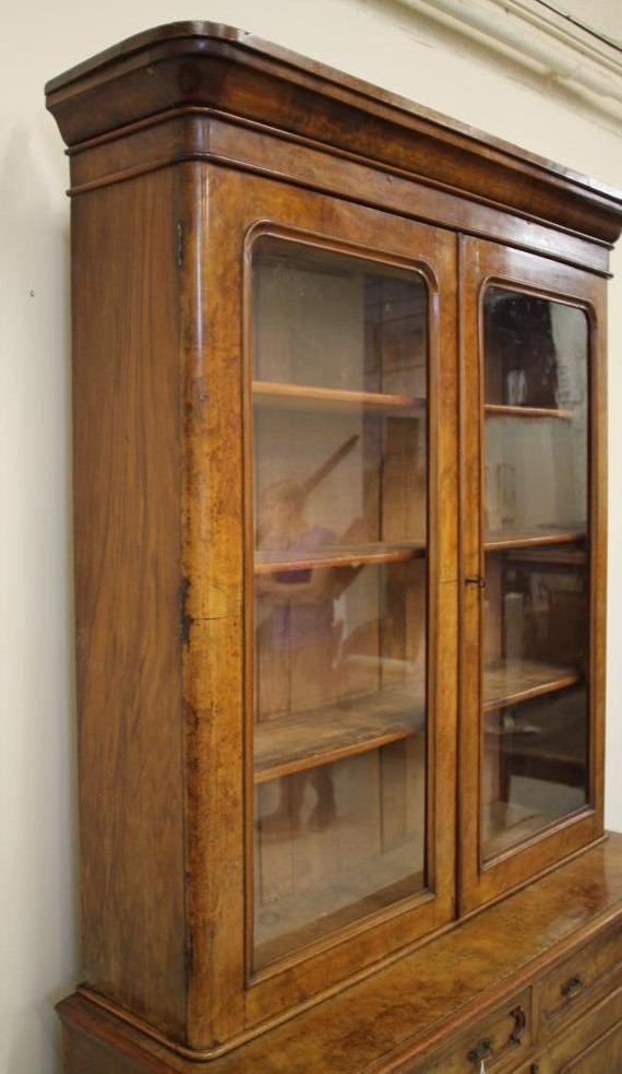 A VICTORIAN BURR WALNUT BOOKCASE of two stage shallow rounded oblong form Image