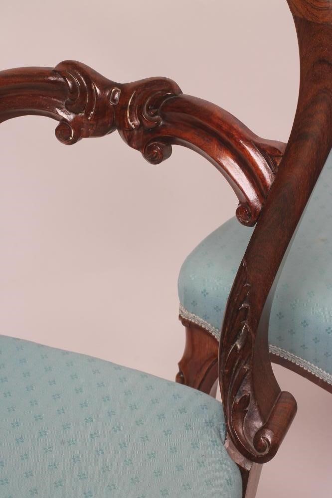 A SET OF SIX VICTORIAN ROSEWOOD DINING CHAIRS of balloon back form upholstered in turquoise weave Image