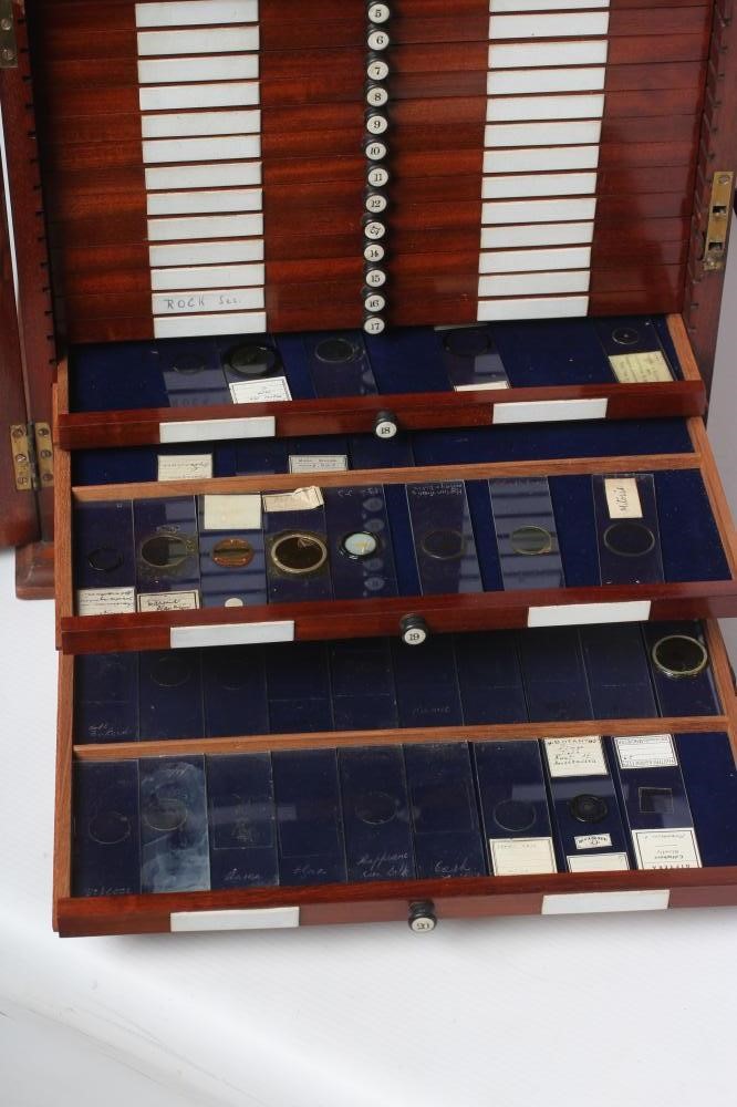 A MAHOGANY TABLE SPECIMEN CABINET Image