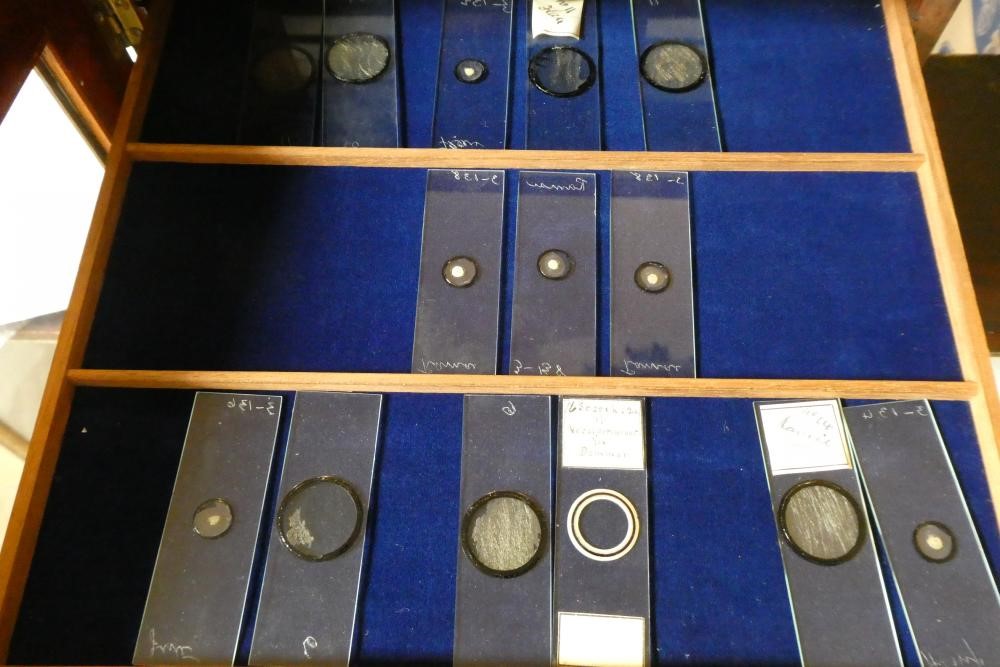 A MAHOGANY TABLE SPECIMEN CABINET Image