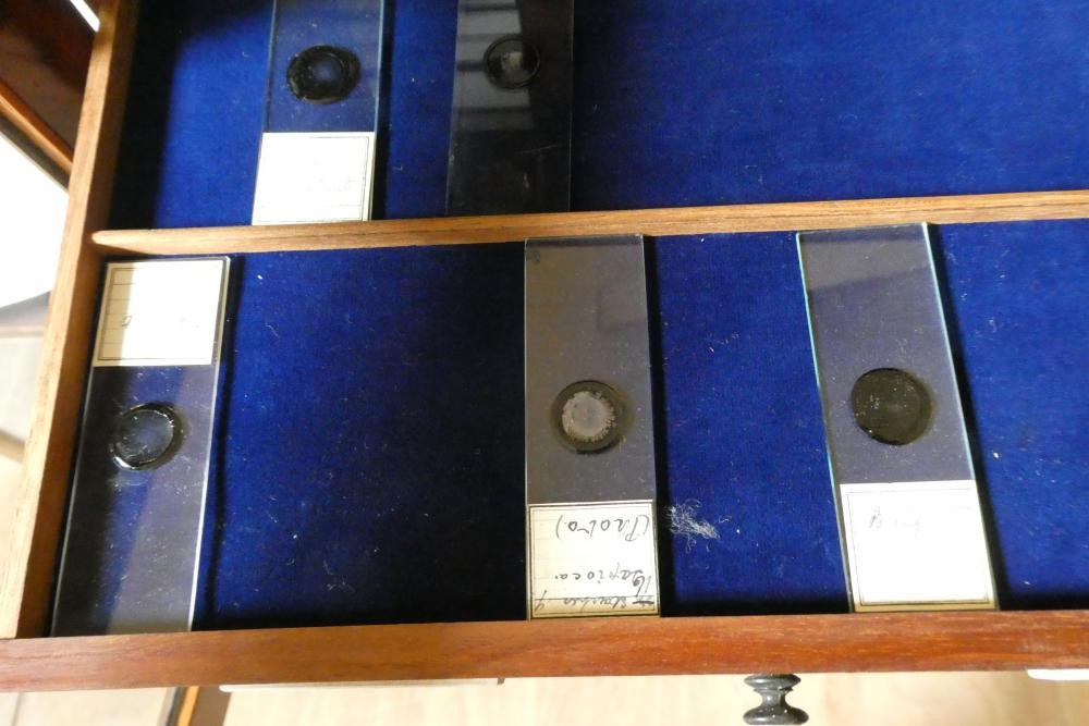 A MAHOGANY TABLE SPECIMEN CABINET Image