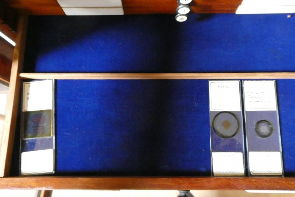 A MAHOGANY TABLE SPECIMEN CABINET Image