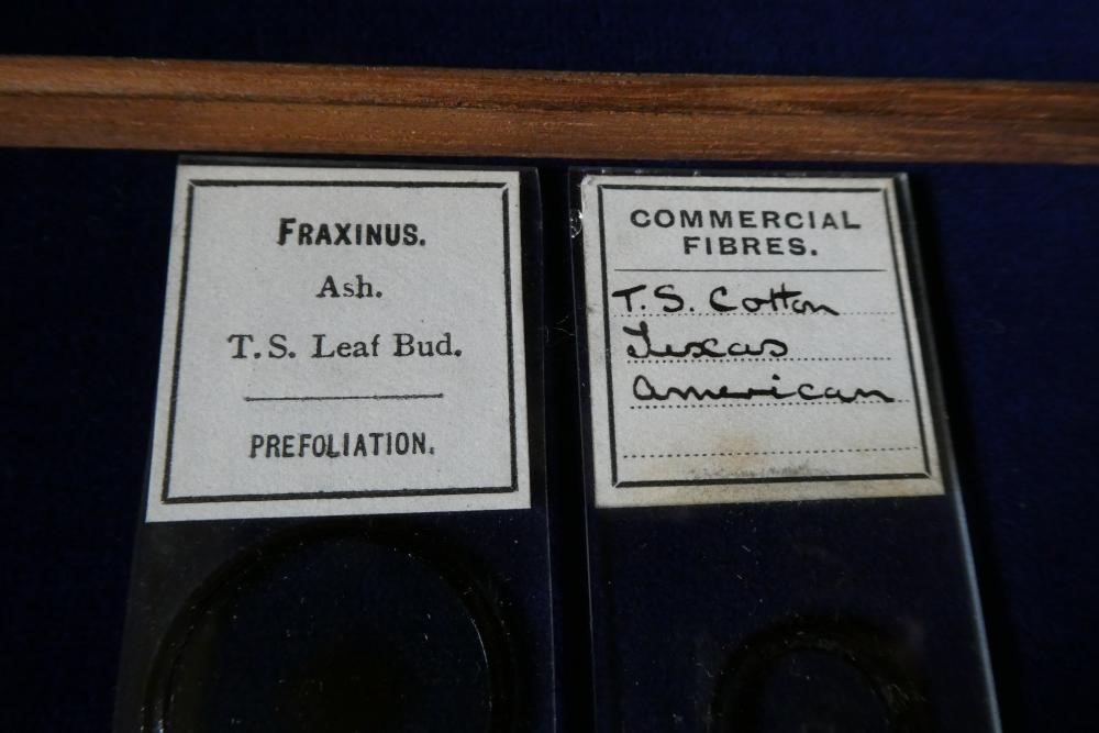 A MAHOGANY TABLE SPECIMEN CABINET Image