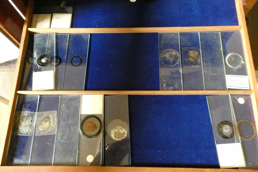 A MAHOGANY TABLE SPECIMEN CABINET Image