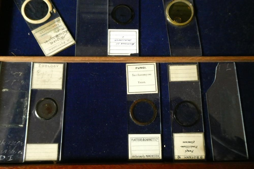 A MAHOGANY TABLE SPECIMEN CABINET Image