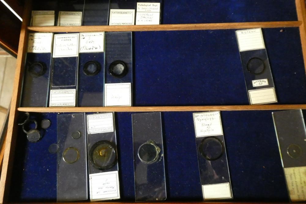 A MAHOGANY TABLE SPECIMEN CABINET Image