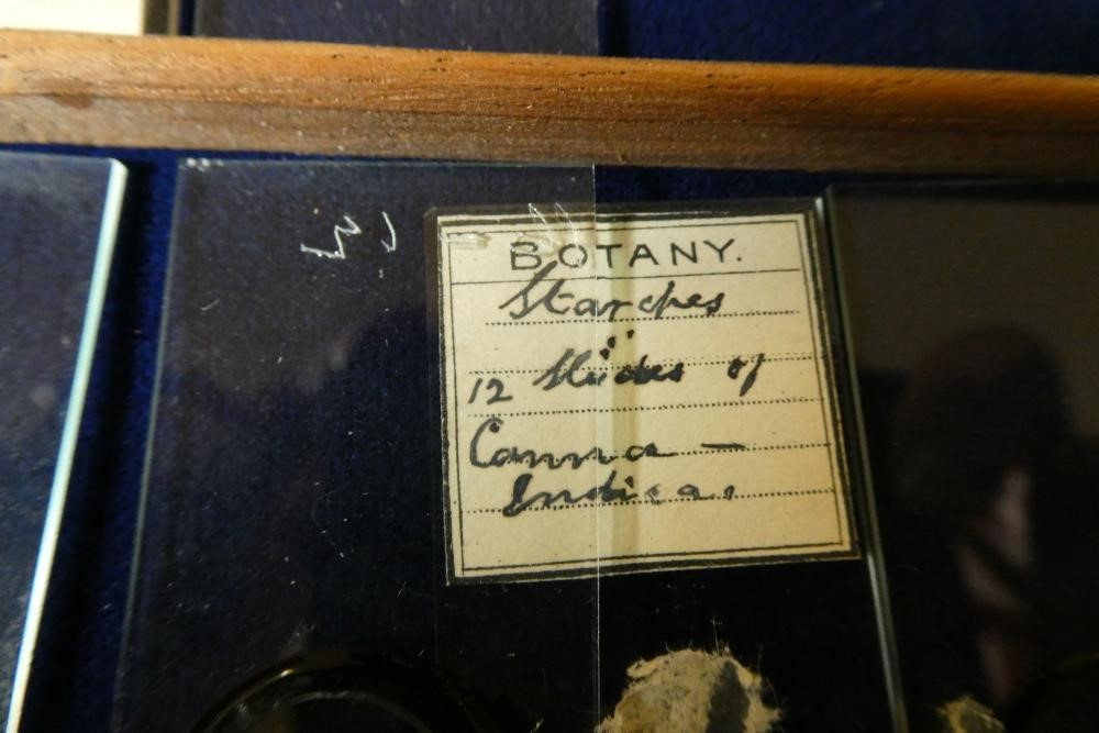 A MAHOGANY TABLE SPECIMEN CABINET Image