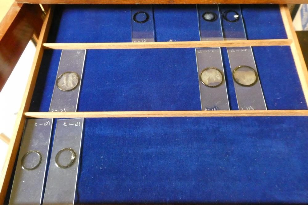 A MAHOGANY TABLE SPECIMEN CABINET Image