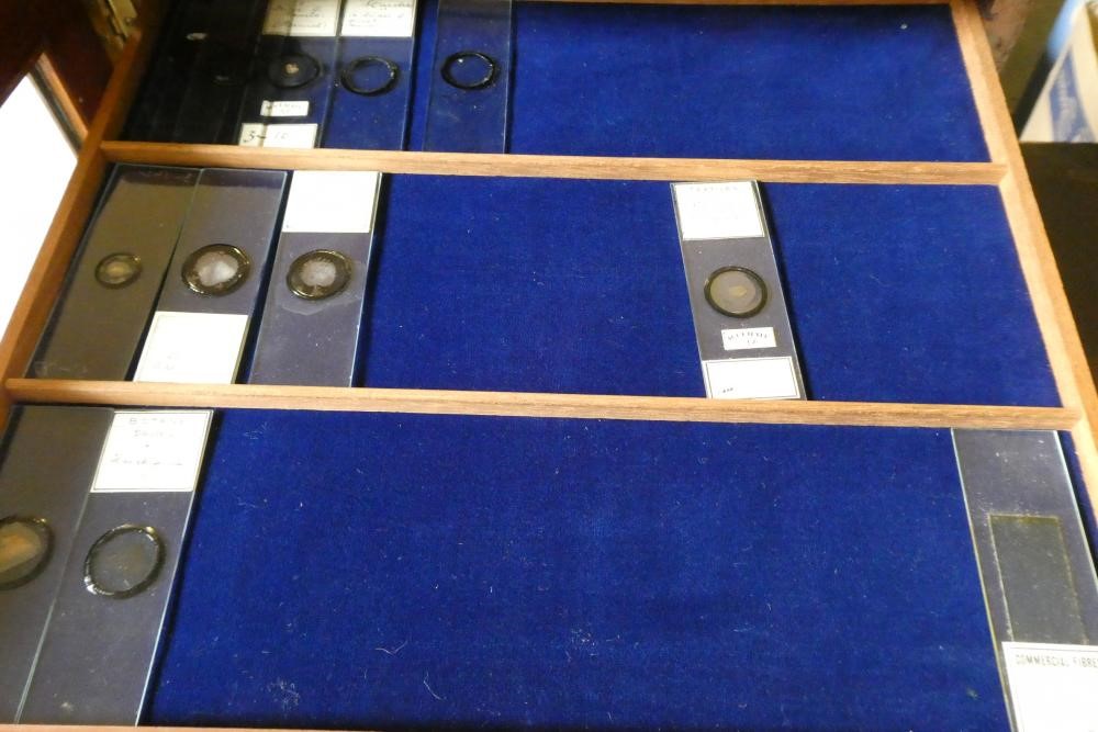 A MAHOGANY TABLE SPECIMEN CABINET Image