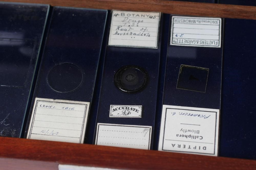 A MAHOGANY TABLE SPECIMEN CABINET Image