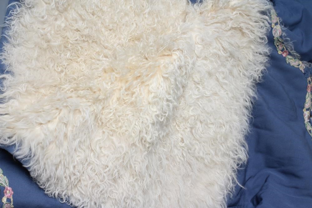 A CHINESE WINTER ROBE Image