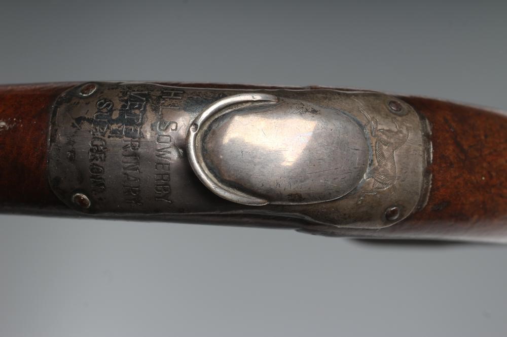 A HORSE MEASURING STICK by Arnold & Sons Image