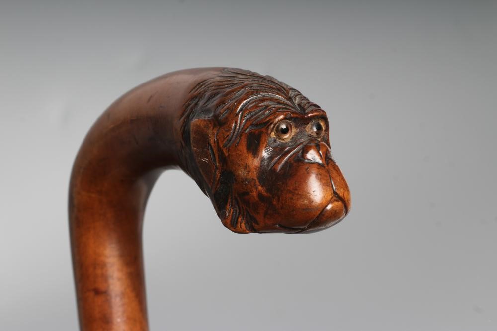 TWO NOVELTY WALKING CANES Image