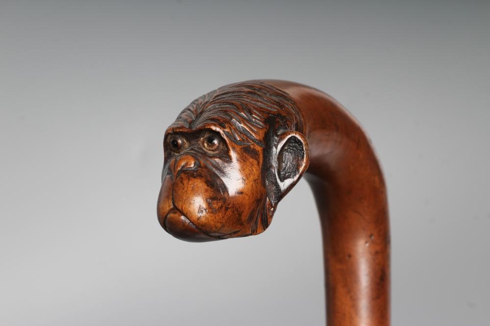 TWO NOVELTY WALKING CANES Image