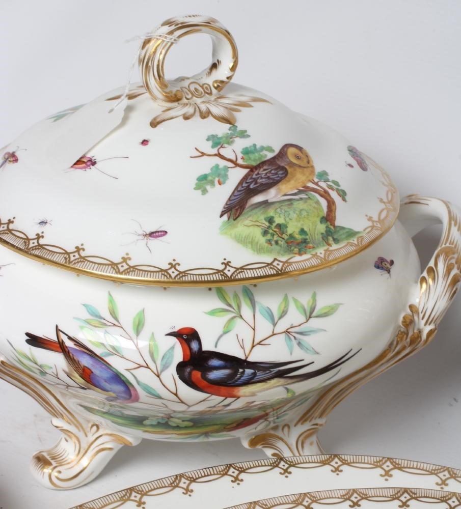 AN EARLY VICTORIAN COALBROOKDALE PORCELAIN PART SERVICE painted in polychrome enamels with exotic Image