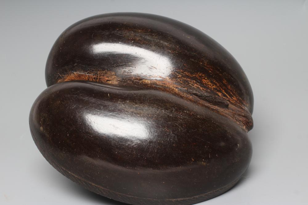 A COCO DE MER carved as a double-welled basket, with etched rim and polished exterior, 10 1/4" long Image