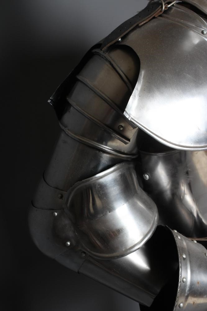 A FULL SUIT OF FIELD ARMOUR Image