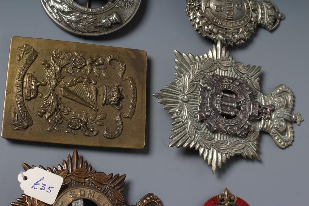 A COLLECTION OF BRITISH MILITARY CAP BADGES AND PLAID BROOCHES including a Victorian Royal Irish Image