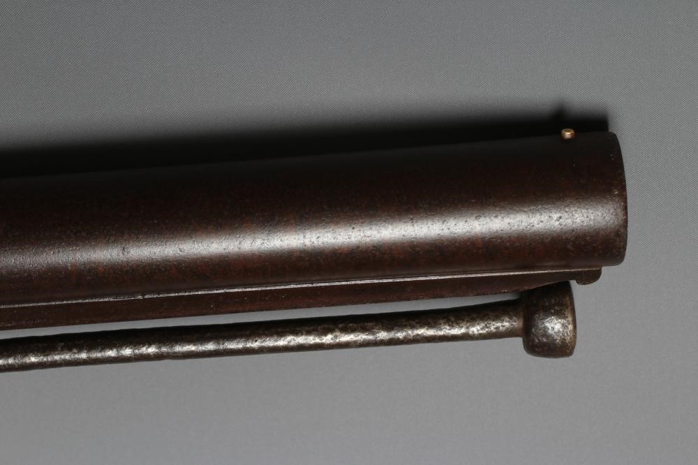 A PERCUSSION PUNT GUN by Palmer Image