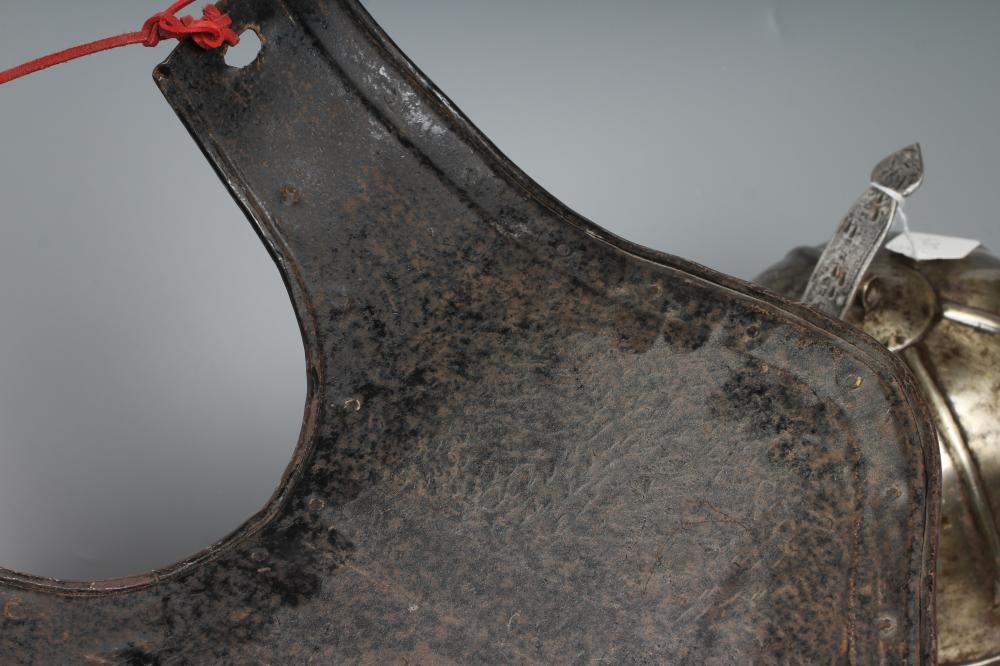 A LOBSTER TAIL HELMET Image