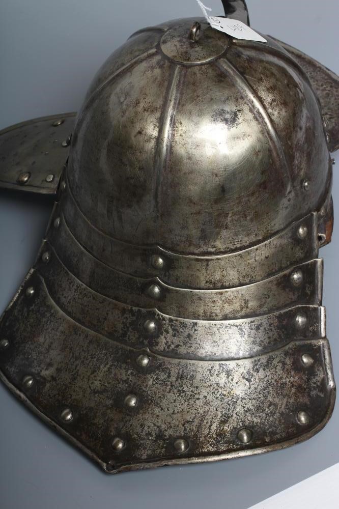 A LOBSTER TAIL HELMET Image