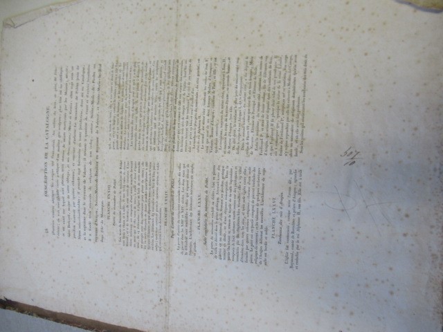 WILLIAM HOGARTH (1697-1764) The Complete Works Image