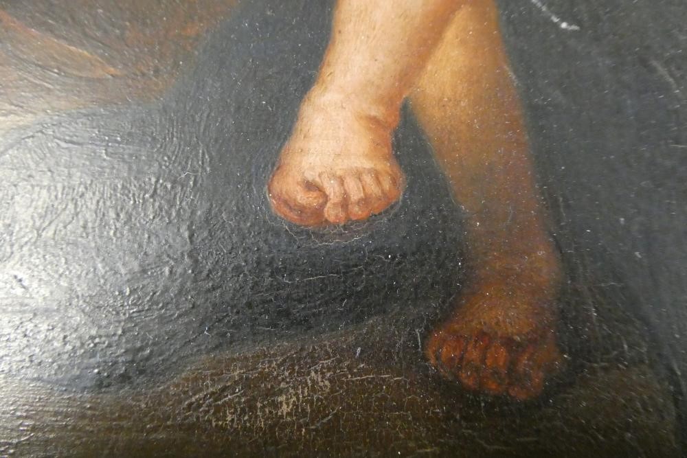 AFTER PETER PAUL RUBENS (1577-1640), 19th century, "Madonna with the Parrot", oil on board, Image