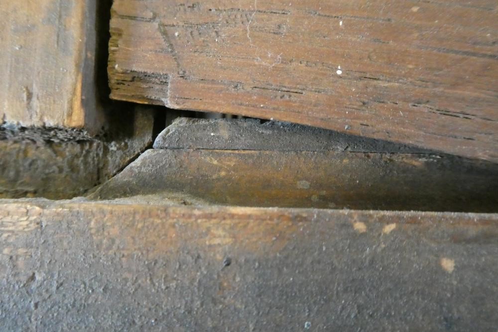 AFTER PETER PAUL RUBENS (1577-1640), 19th century, "Madonna with the Parrot", oil on board, Image