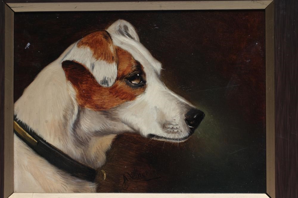 JOHN ALFRED WHEELER (1852- 1932) Head of a Jack Russell, oil on board, signed, 6 1/4" x 8 1/4" Image