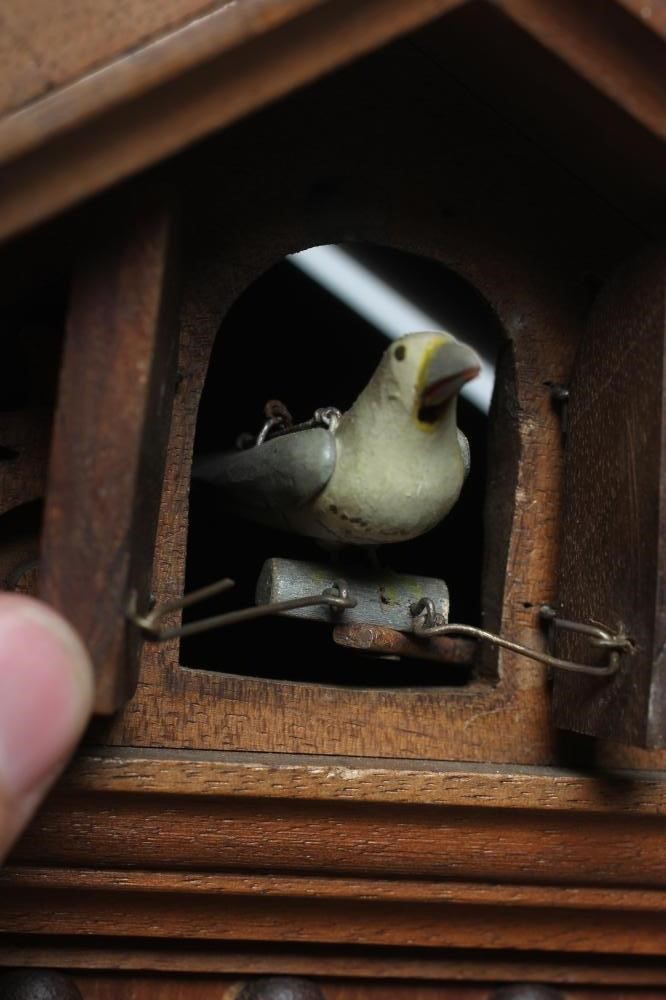 A BLACK FOREST TABLE CUCKOO CLOCK Image