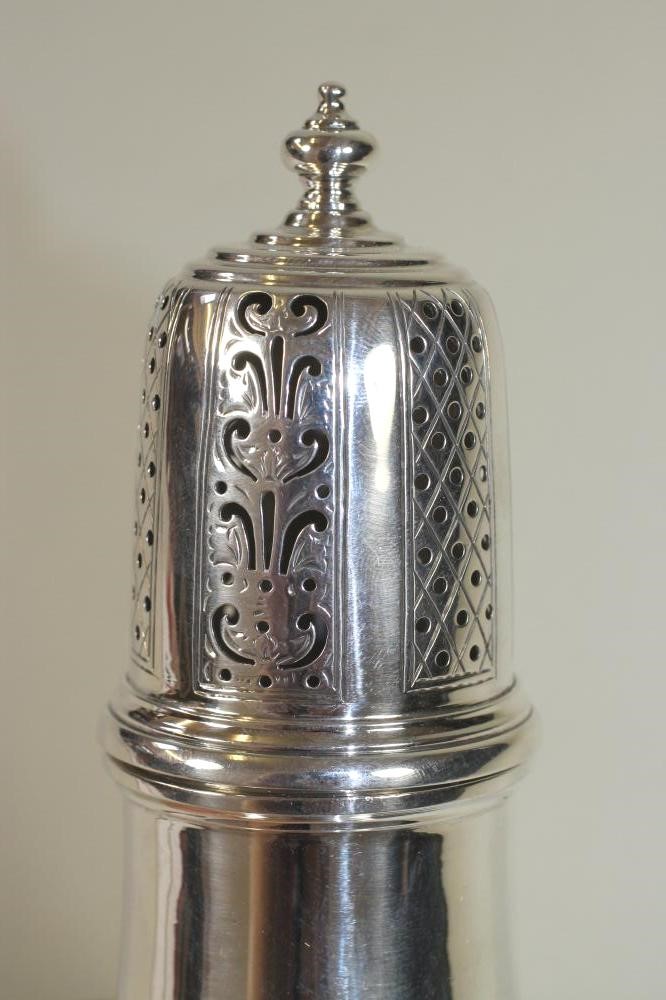 A SILVER SUGAR CASTOR Image