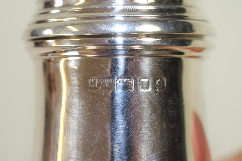 A SILVER SUGAR CASTOR Image