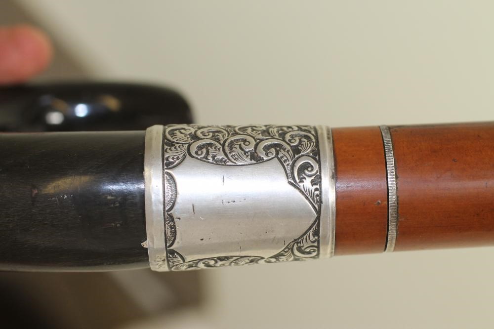 A MALACCA SWORD STICK Image