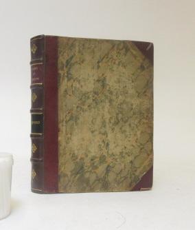 LONDON AND ITS ENVIRONS IN THE NINETEENTH CENTURY Image