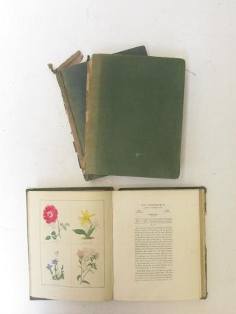 THE BOOK OF HARDY FLOWERS Image