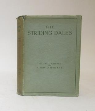 THE STRIDING DALES Image