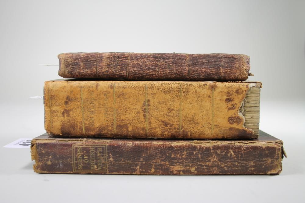 SCENES OF BRITISH WEALTH Image