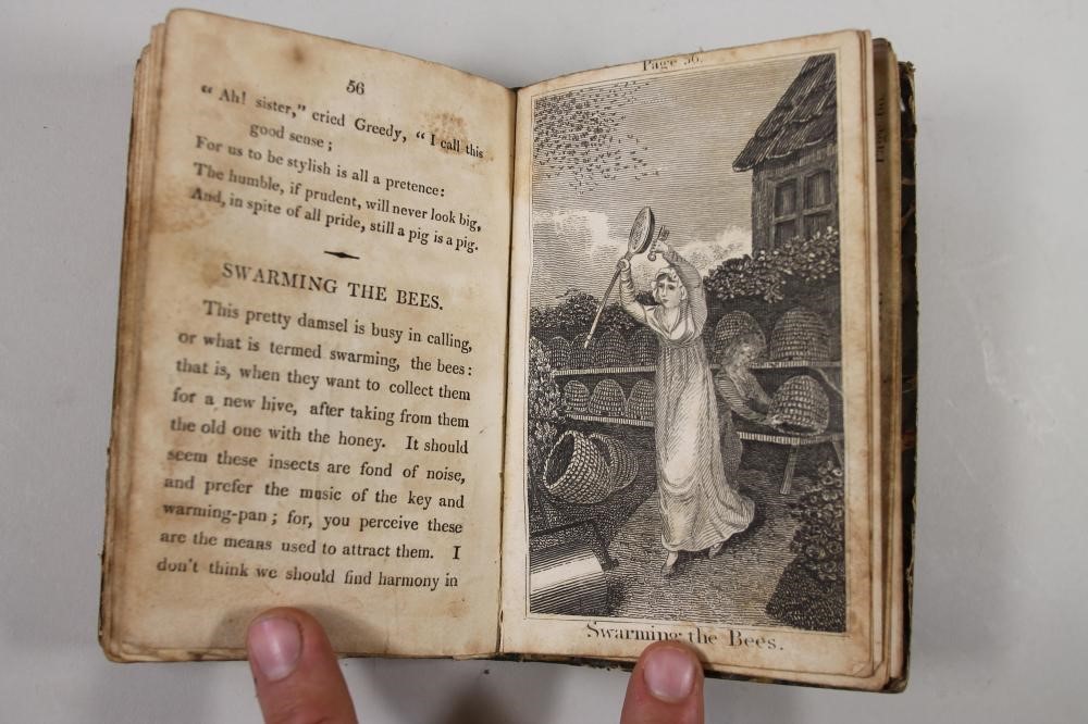 RURAL EMPLOYMENTS Image