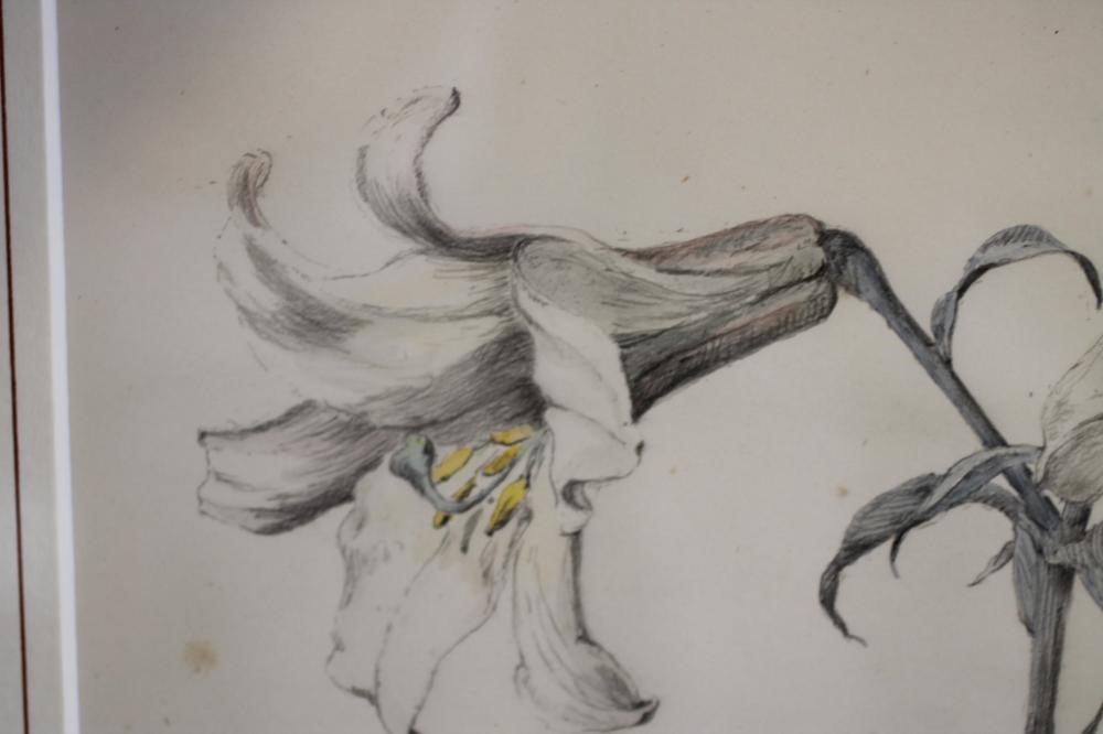 ‡MAXWELL ASHBY ARMFIELD (1882-1976) Image