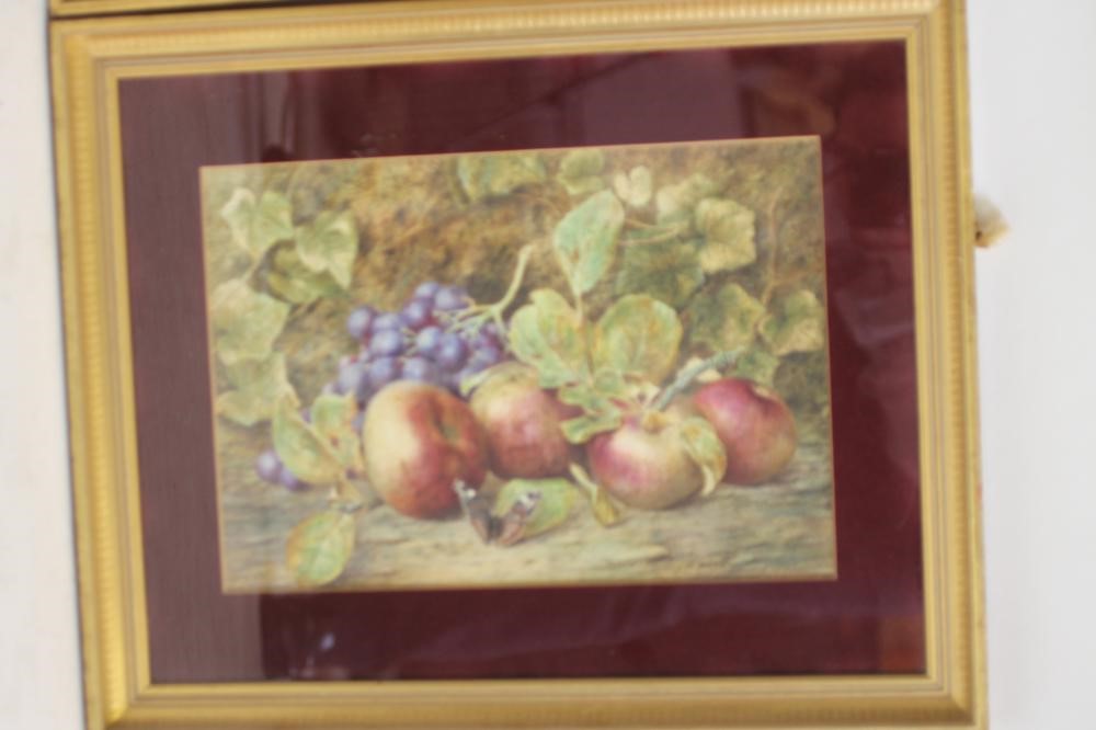 ELIZA J WARD (exh.1902-1908) Image