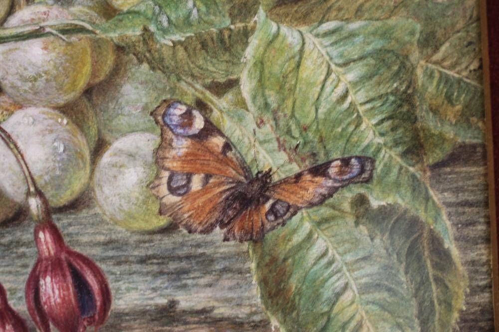 ELIZA J WARD (exh.1902-1908) Image