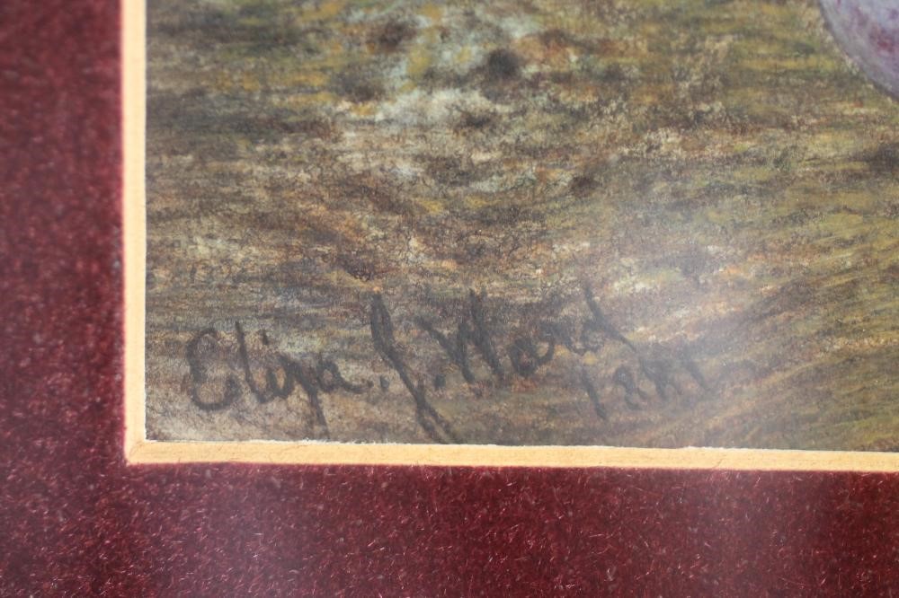 ELIZA J WARD (exh.1902-1908) Image