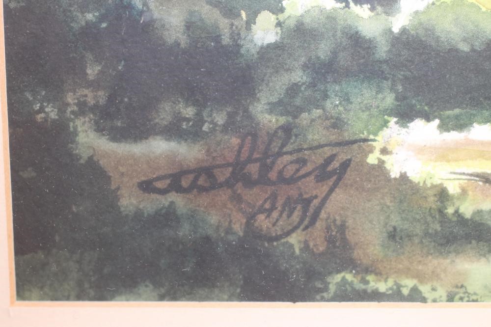 ‡ASHLEY JACKSON (b.1940) Image