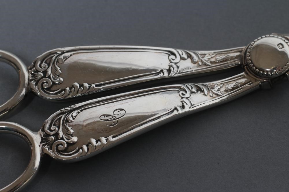A PAIR OF GRAPE SCISSORS Image