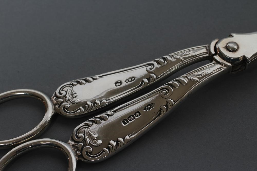 A PAIR OF GRAPE SCISSORS Image